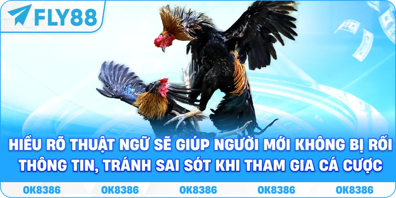 Hiểu rõ thuật ngữ sẽ giúp người mới không bị rối thông tin, tránh sai sót khi tham gia cá cược.